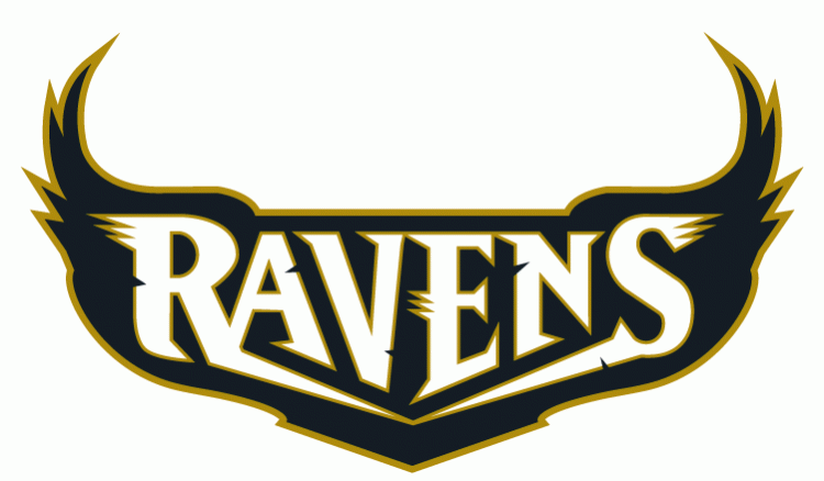 Baltimore Ravens 1996-1998 Wordmark Logo DTF transfer for t shirt version 3